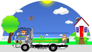 toms rubbish waste collection Rubbish and Junk Clearance from commercial and domestic properties