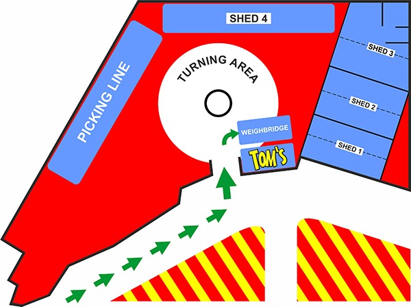 yard layout